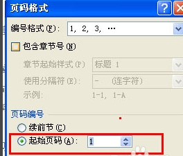 Word2007怎样从任意页开始设置页码