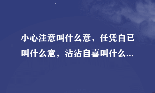 小心注意叫什么意，任凭自已叫什么意，沾沾自喜叫什么意，任意忘为叫什么意，心情爽快叫什么意，心术不正