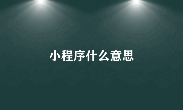 小程序什么意思