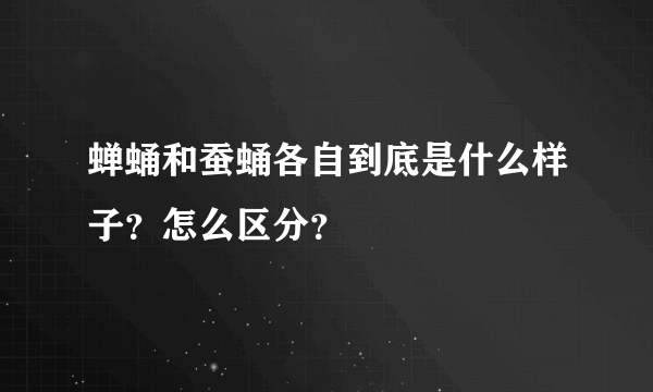 蝉蛹和蚕蛹各自到底是什么样子？怎么区分？