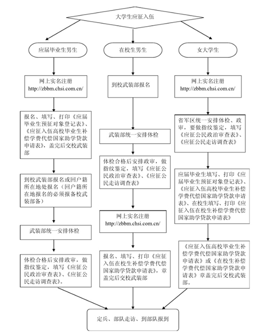 大学生当兵政审流程