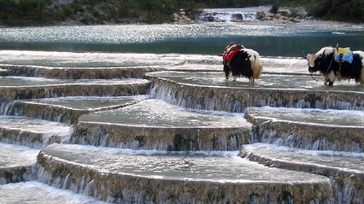 8月份最适合旅游的地方有哪些