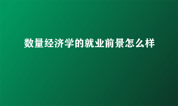 数量经济学的就业前景怎么样