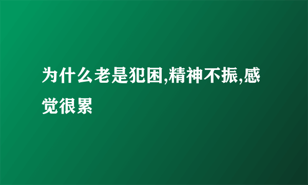 为什么老是犯困,精神不振,感觉很累