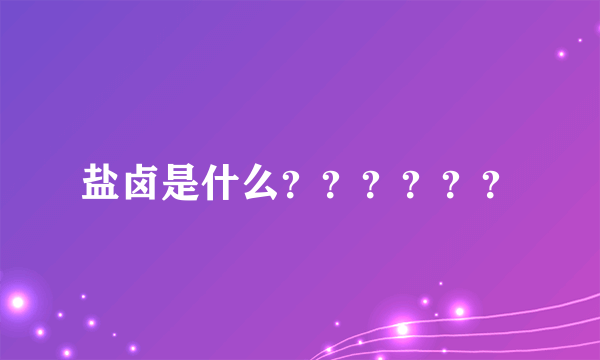 盐卤是什么？？？？？？