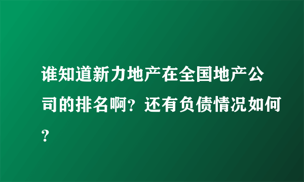 谁知道新力地产在全国地产公司的排名啊？还有负债情况如何？