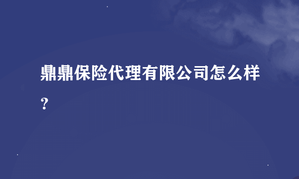 鼎鼎保险代理有限公司怎么样？