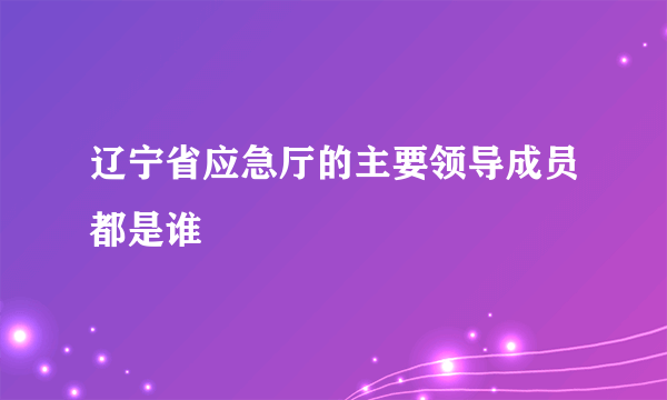 辽宁省应急厅的主要领导成员都是谁