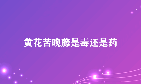 黄花苦晚藤是毒还是药