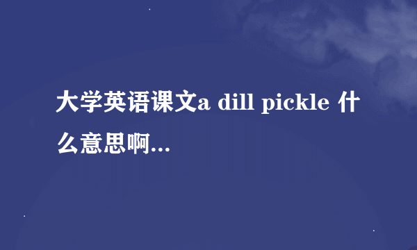 大学英语课文a dill pickle 什么意思啊？为什么用这个题目呢？