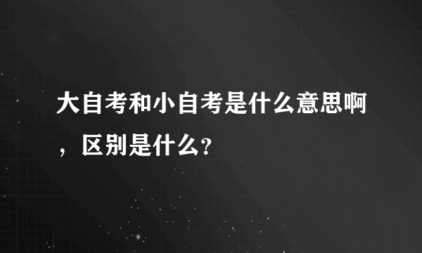 大自考和小自考是什么意思啊，区别是什么？