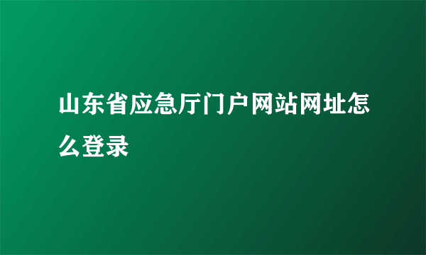 山东省应急厅门户网站网址怎么登录