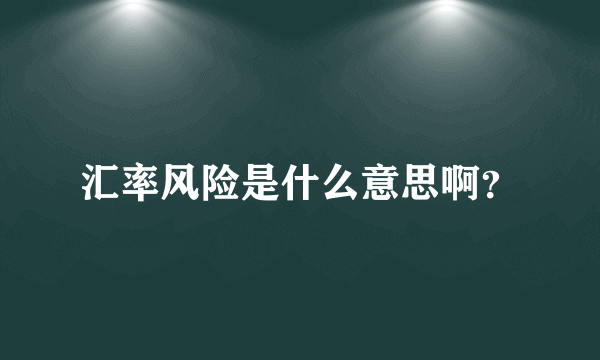 汇率风险是什么意思啊？