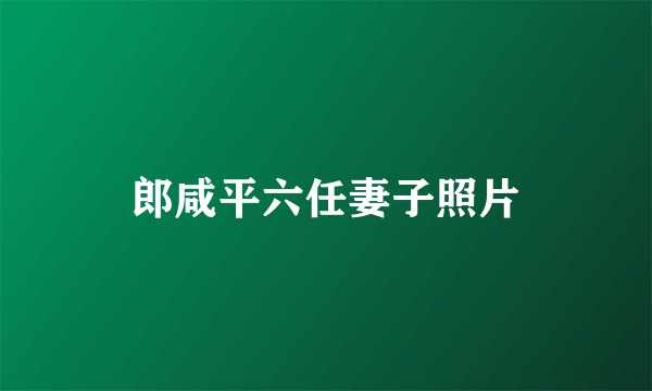 郎咸平六任妻子照片