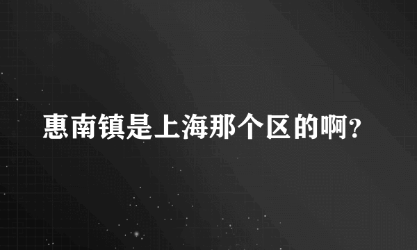 惠南镇是上海那个区的啊？