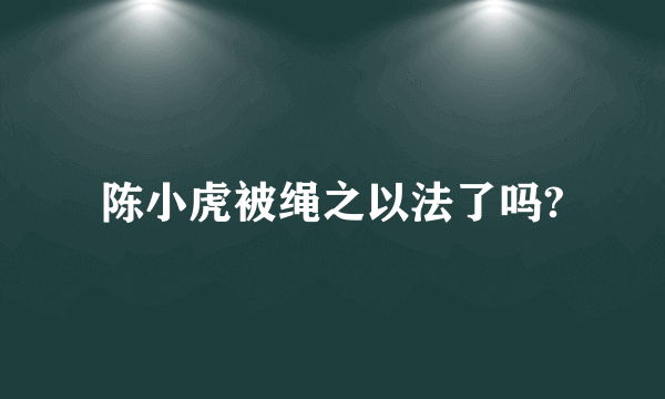 陈小虎被绳之以法了吗?