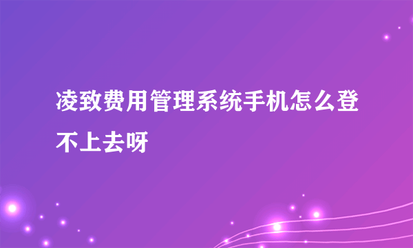 凌致费用管理系统手机怎么登不上去呀