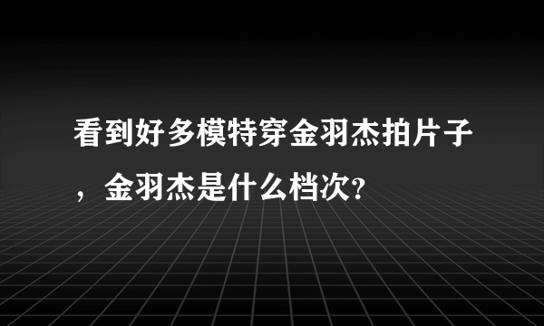 看到好多模特穿金羽杰拍片子，金羽杰是什么档次？