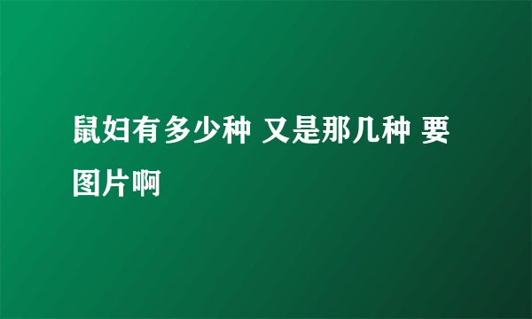 鼠妇有多少种 又是那几种 要图片啊