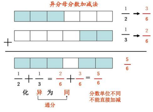 分数单位表示什么意思？