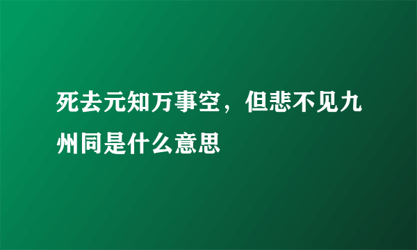 死去元知万事空，但悲不见九州同是什么意思