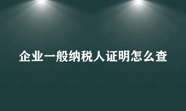 企业一般纳税人证明怎么查