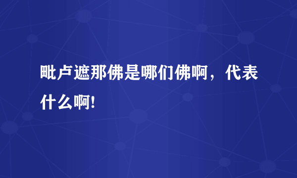 毗卢遮那佛是哪们佛啊，代表什么啊!