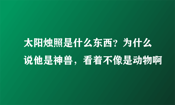 太阳烛照是什么东西？为什么说他是神兽，看着不像是动物啊