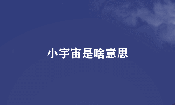 小宇宙是啥意思