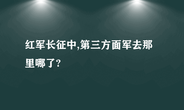 红军长征中,第三方面军去那里哪了?