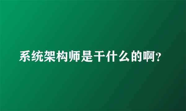 系统架构师是干什么的啊？