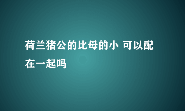 荷兰猪公的比母的小 可以配在一起吗