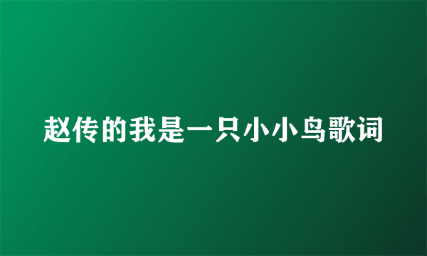 赵传的我是一只小小鸟歌词