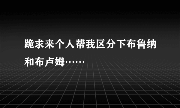 跪求来个人帮我区分下布鲁纳和布卢姆……