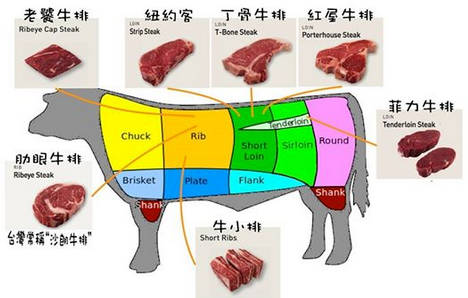 牛排用的是牛身上的哪块肉？