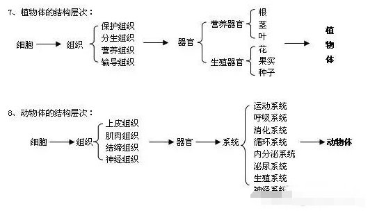 宣讲提纲格式是什么？