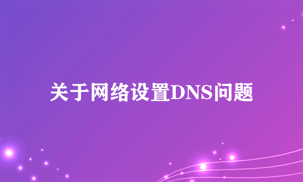 关于网络设置DNS问题