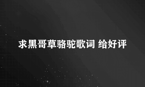 求黑哥草骆驼歌词 给好评