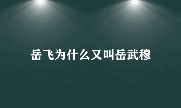 岳飞为什么又叫岳武穆