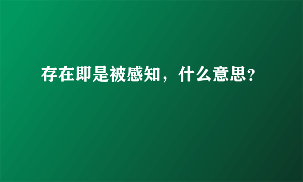 存在即是被感知，什么意思？