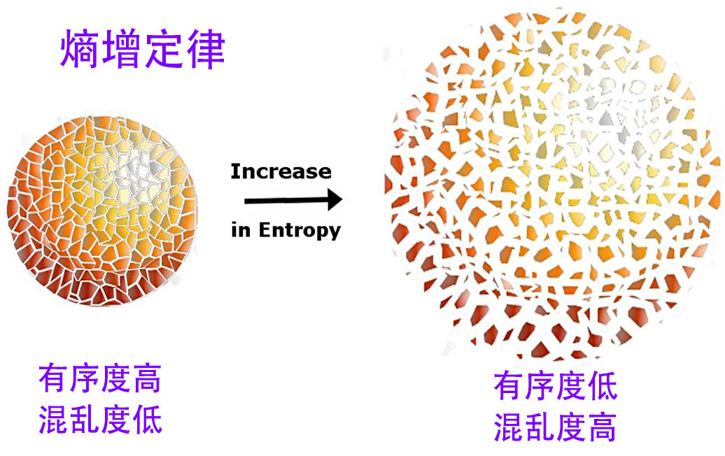 熵增定律：为什么会让人类感到绝望？