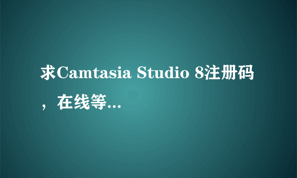 求Camtasia Studio 8注册码，在线等好心人。