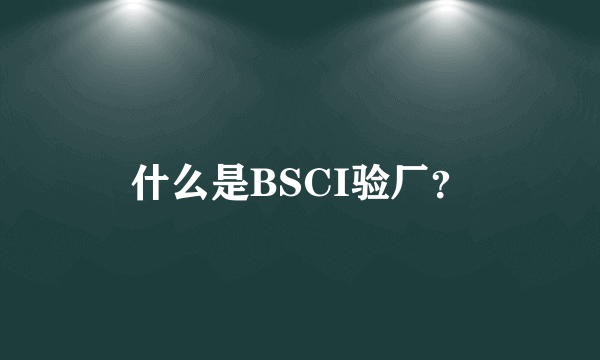 什么是BSCI验厂？