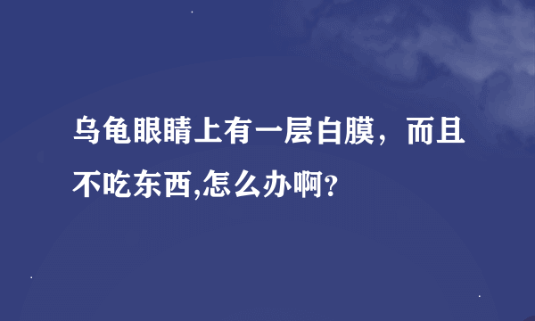 乌龟眼睛上有一层白膜，而且不吃东西,怎么办啊？