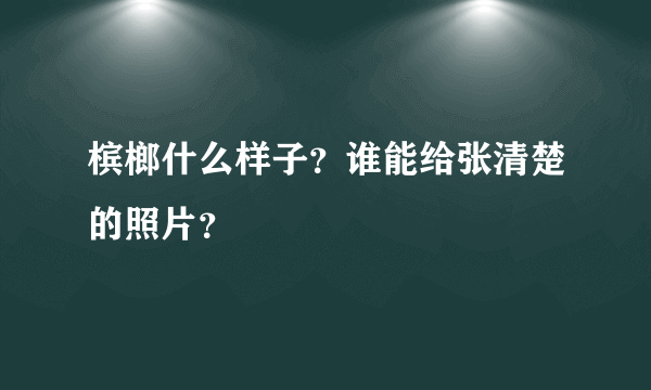 槟榔什么样子？谁能给张清楚的照片？