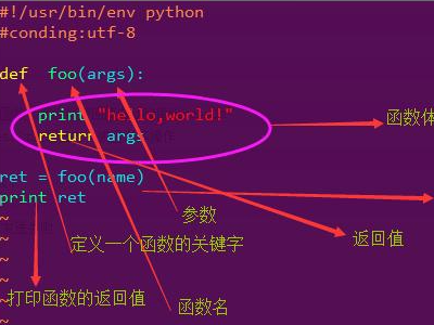 请问Arg函数是什么啊