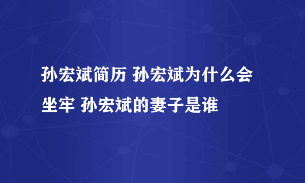 孙宏斌简历 孙宏斌为什么会坐牢 孙宏斌的妻子是谁