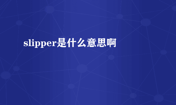 slipper是什么意思啊