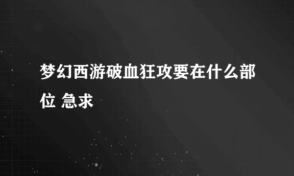 梦幻西游破血狂攻要在什么部位 急求