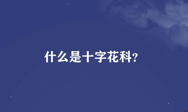 什么是十字花科？